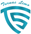 TS Logo